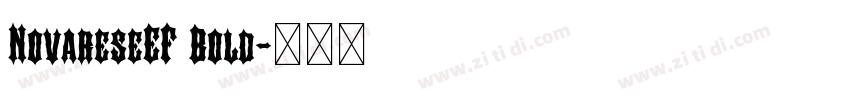 NovareseEF Bold字体转换